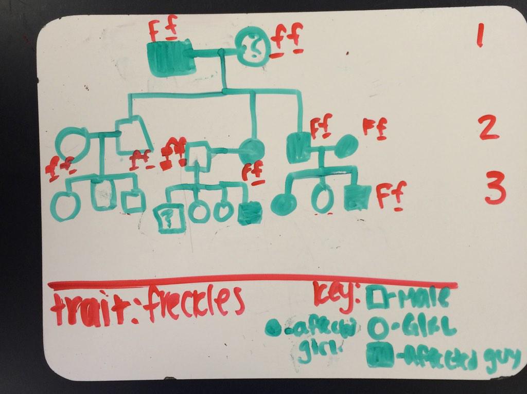 maryc_lhs's tweet photo. #pedigreepuzzle #ballhr6 @hunterl_lhs !!!!! http://t.co/4pRs4Et827
