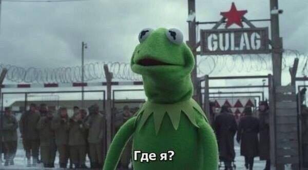 russiancircle13's tweet photo. Language class with the russian assistant be like http://t.co/1jXVKCaORI