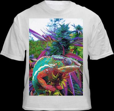 TrippStore tweet picture