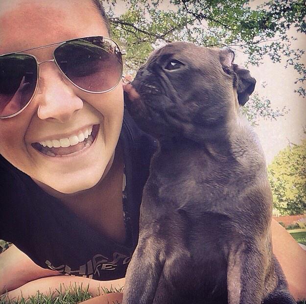 slhayes94's tweet photo. @Save_A_Sidekick we all know my opinion on dogs. Couldn't pick my favorite🐶 #ShareASidekick http://t.co/dmXszgXjb3