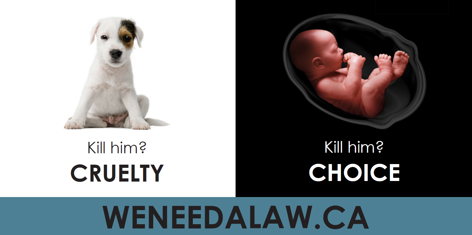 weneedaLAW on Twitter: weneedaLAW on Twitter: