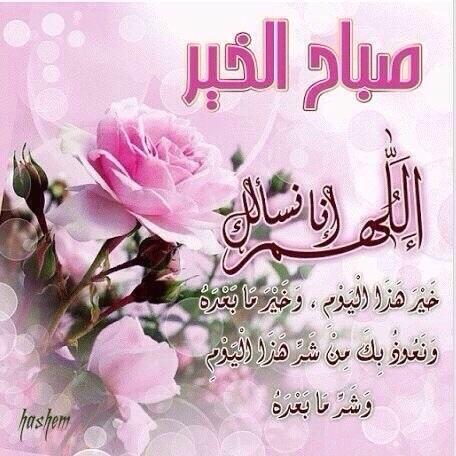 hbugis82's tweet image. 