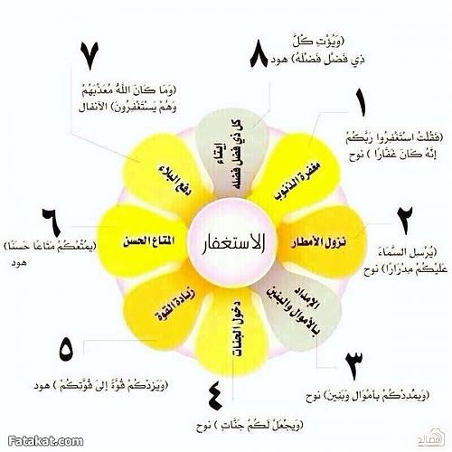 hbugis82's tweet image. 