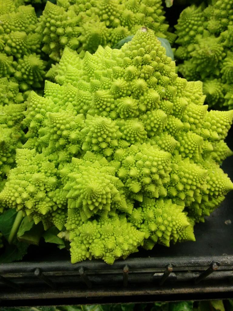 matthewrobinso1's tweet photo. Fractal vegetables http://t.co/LbshENDdyQ