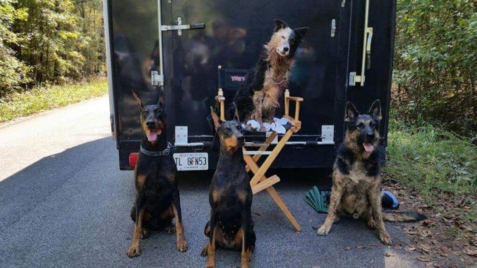 Just hanging out 🐕