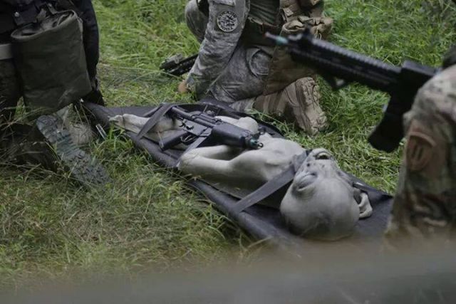 beauté fatal tweet media