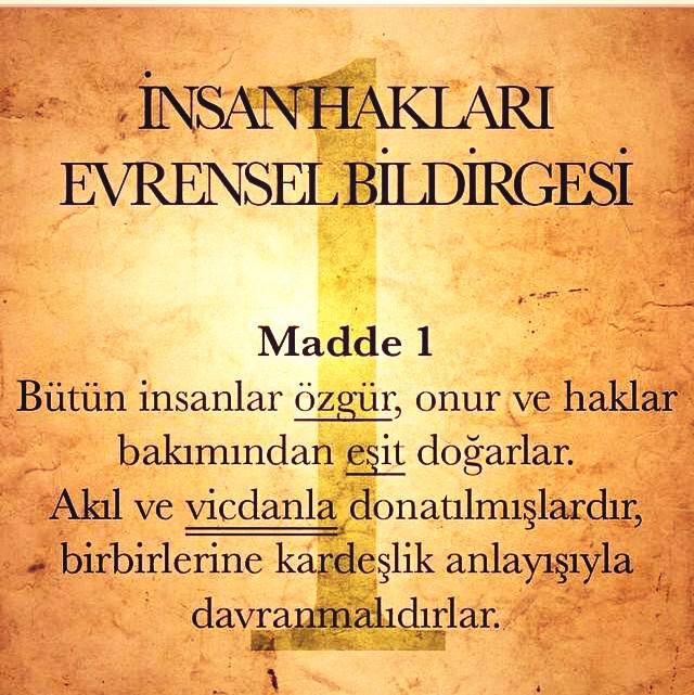Bildekeda's tweet photo. #İnsanHaklarıEvrenselBeyannamesi #Madde1 #Eşitlik #Vicdan #Kardeşlik #Özgürlük http://t.co/IistFvY42m