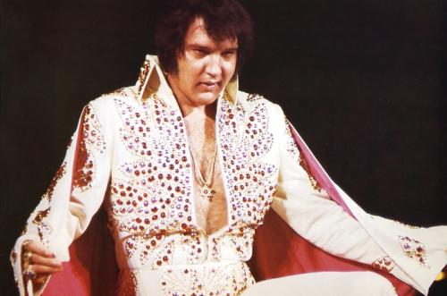 firstandmonday's tweet photo. 5 Rockstars Heteros Would Bang #YouKnowHowIKnow #elvispresley #TheBoss #DLR #LemmeHitDat #Yass http://t.co/MpiX7sBHM4 http://t.co/lsEw9rSyBH