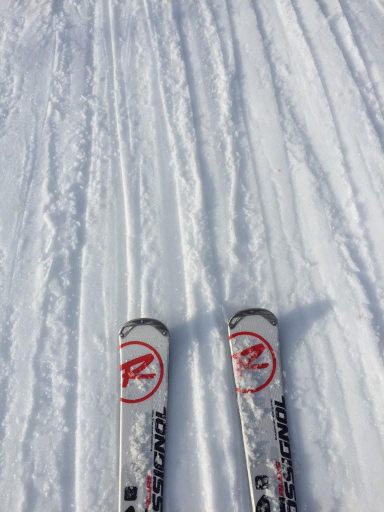 Baronen73's tweet photo. Rossignol trivdes godt på #savalen #vinterferie http://t.co/lOPVDngLHm