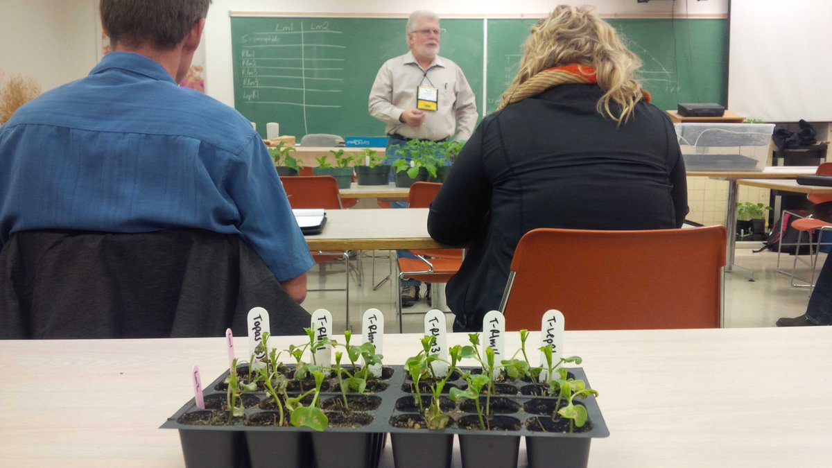 kevotweets's tweet photo. Learning about disease resistance at #CanoLAB15. http://t.co/fY9dQjsFp5