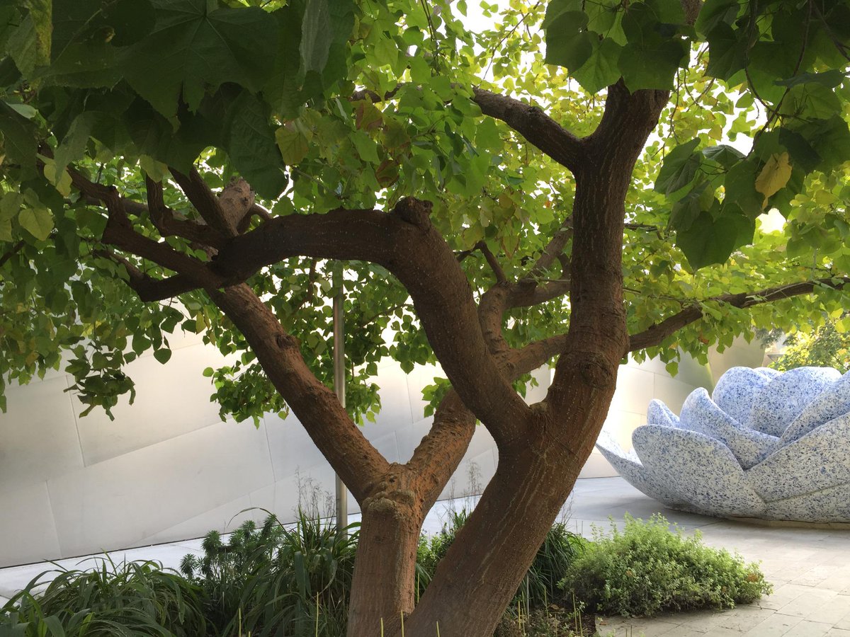 rengallery's tweet photo. A lovely walk #sculptures #DTLA #peaceonearth #JacquesLipchitz #robertgraham #DanceDoor #roseforlilly http://t.co/6sNqCgape1