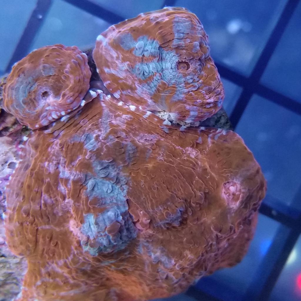 CteMike's tweet image. And a few more...