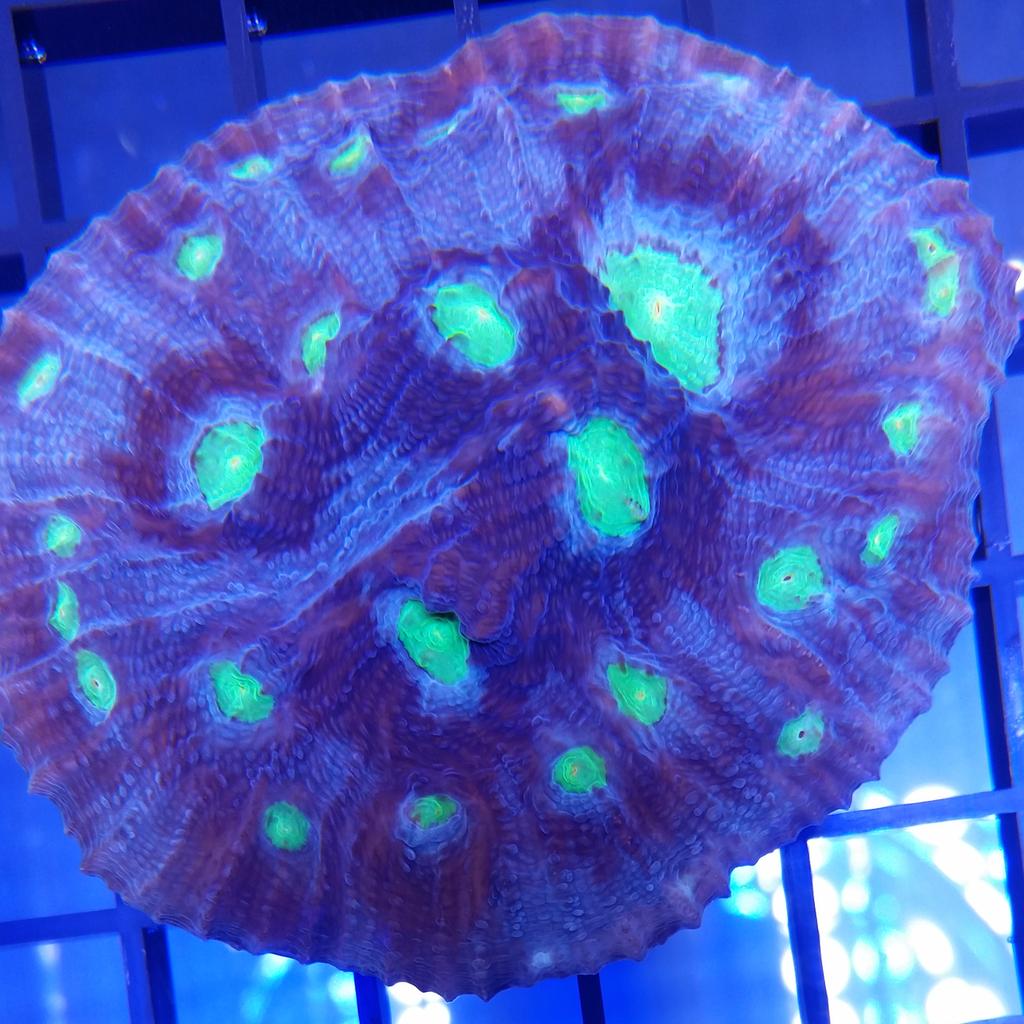 CteMike's tweet image. Just a few of our favorite things...