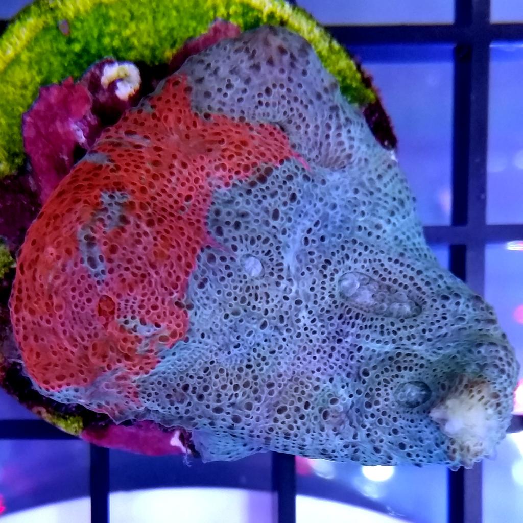 CteMike's tweet image. Just a few of our favorite things...