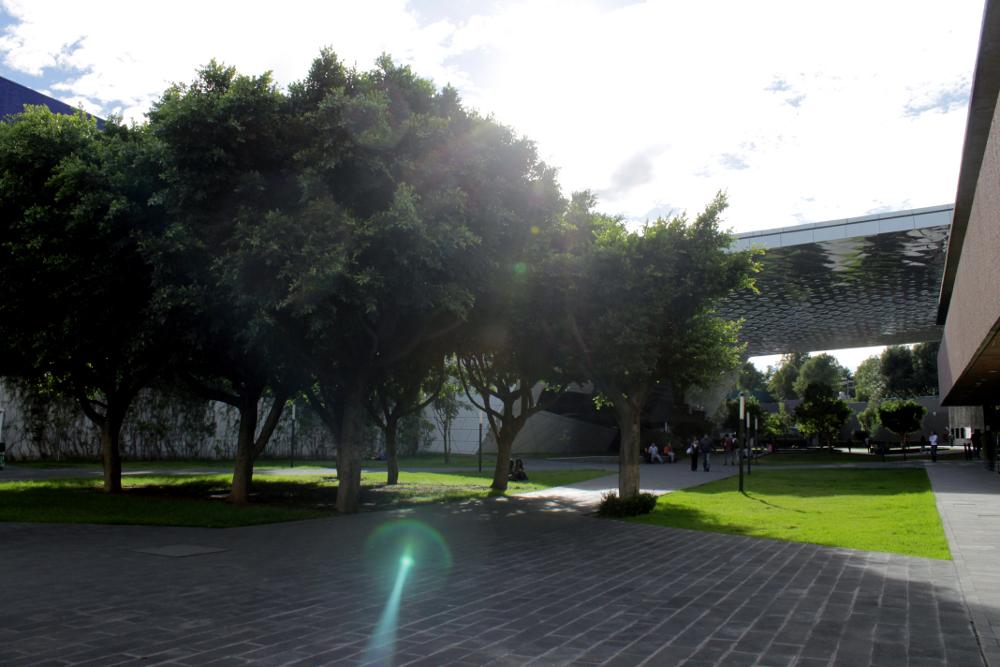 CinetecaMexico's tweet photo. Hoy es un gran día para que vengan a #CompartirCine con nosotros. Revisen nuestra cartelera: http://t.co/CJzO4PbPVq http://t.co/2dXJiKFzOh