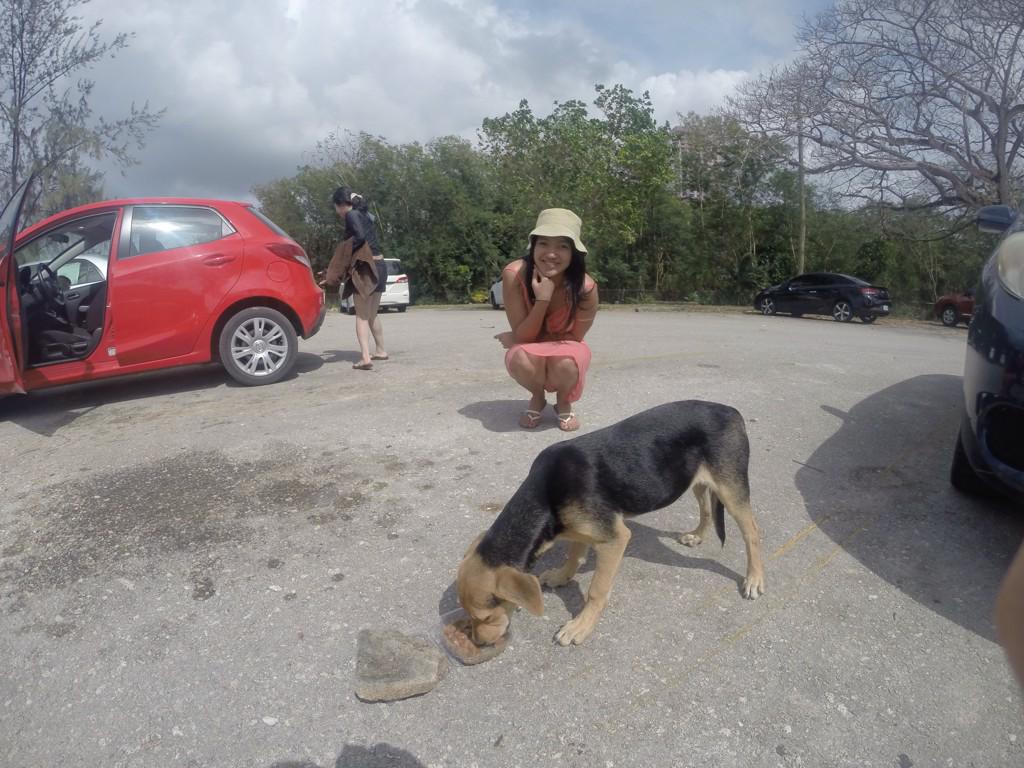 jubbabobs's tweet photo. #RescueRuby we fed her &amp; gave her water. Wanna take her home butt gna try again on Sunday. Hope she's still there!❤️🐶 http://t.co/iMBLzFvjFY
