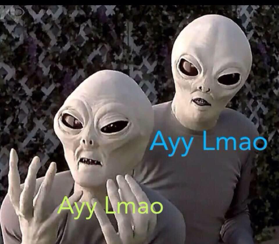 memelordx's tweet photo. @C_Copenheaver when you realize you're a pretentious asshole who doesn't appreciate a good meme http://t.co/ct42d32WEe