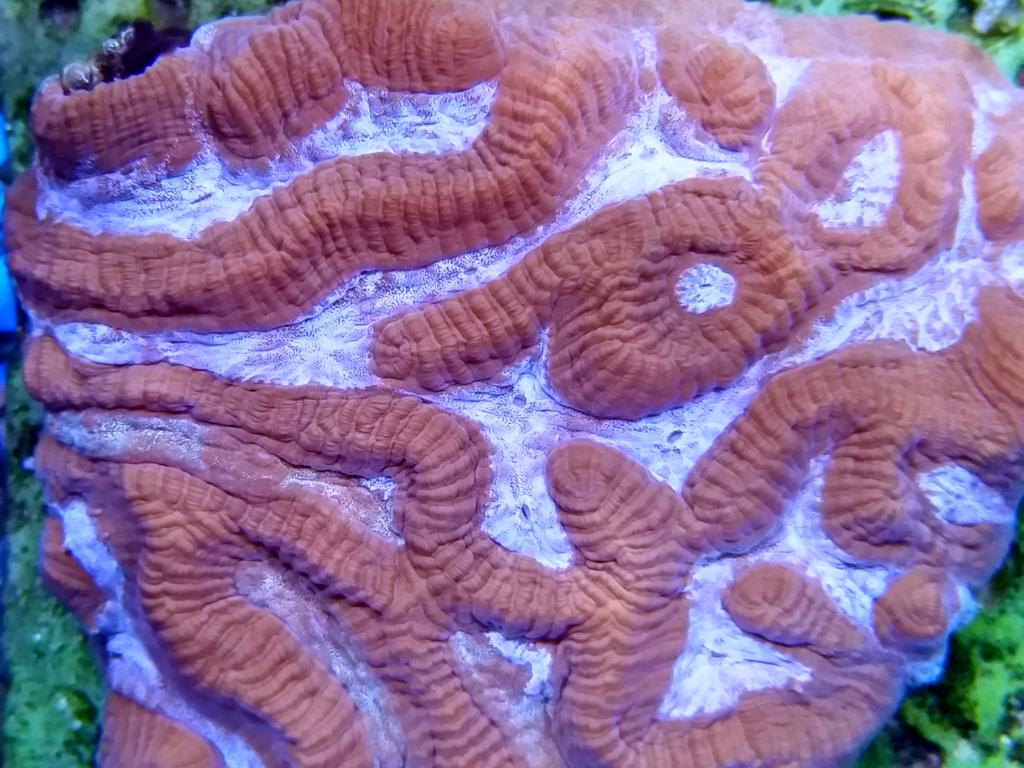 CteMike's tweet image. HOT HOT HOT !!!!!!