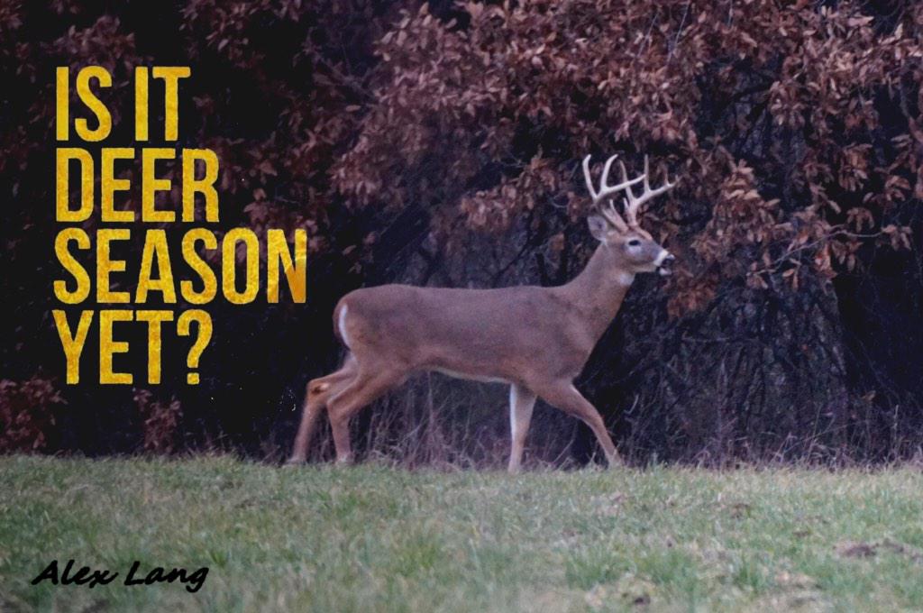 vela_cxehange's tweet photo. Is it deer season yet? http://t.co/tP93PSYlU8