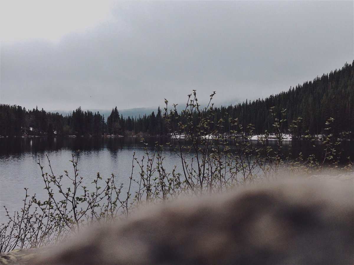 LightBoxr tweet media