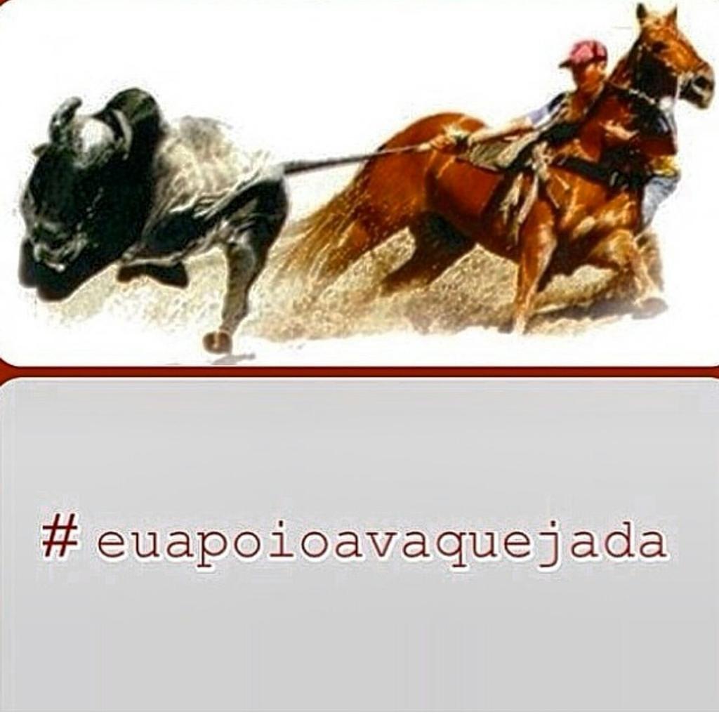 CelsoVitorio's tweet photo. #euapoiovaquejada http://t.co/vqo1wc6pzl