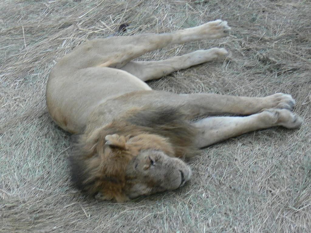 kuutzalk's tweet image. @INGnl_Nieuws @ingnl_werkenbij #ingnl @INGnl_OS Ik wil mijn #geld terug dat jullie van mij #gestolen hebben!