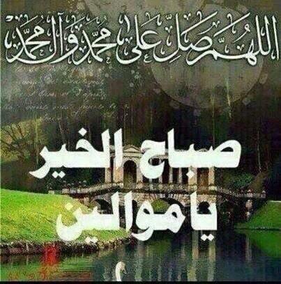 qalad250az's tweet photo. @008_alwafaa @636Hdht @wardatalamgmai1 @mmhhn234 @mhnd201320 @hebahashem22 @rabab0905 @ad21556980 http://t.co/yTYHZcTASx
