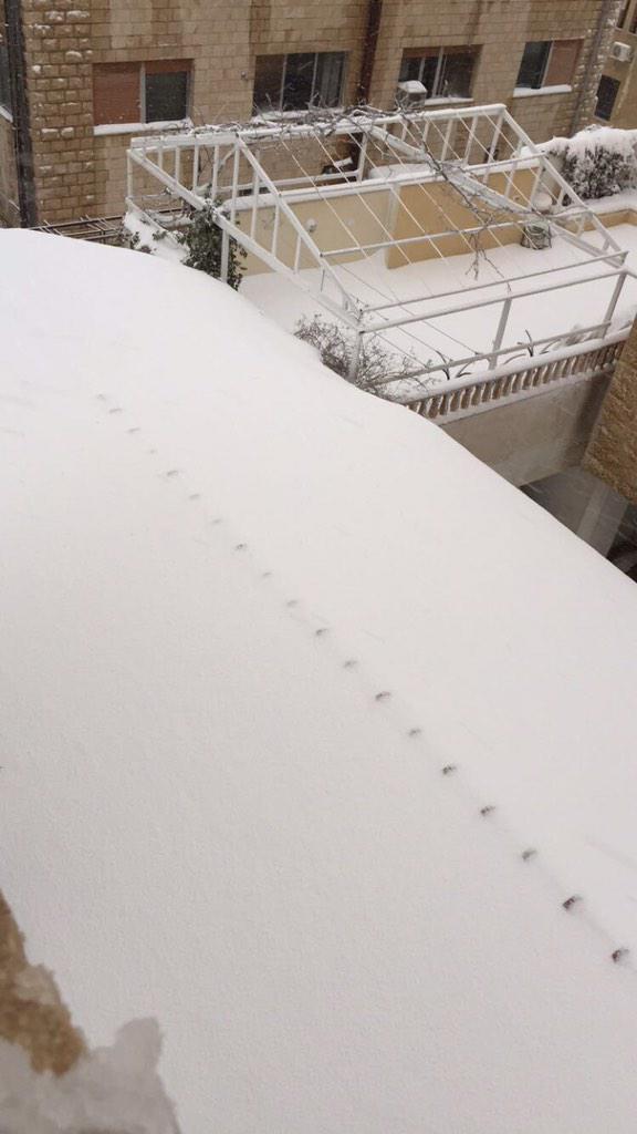 RV43dj's tweet photo. #عاصفة_جنى #جنى http://t.co/GRX09xXihi