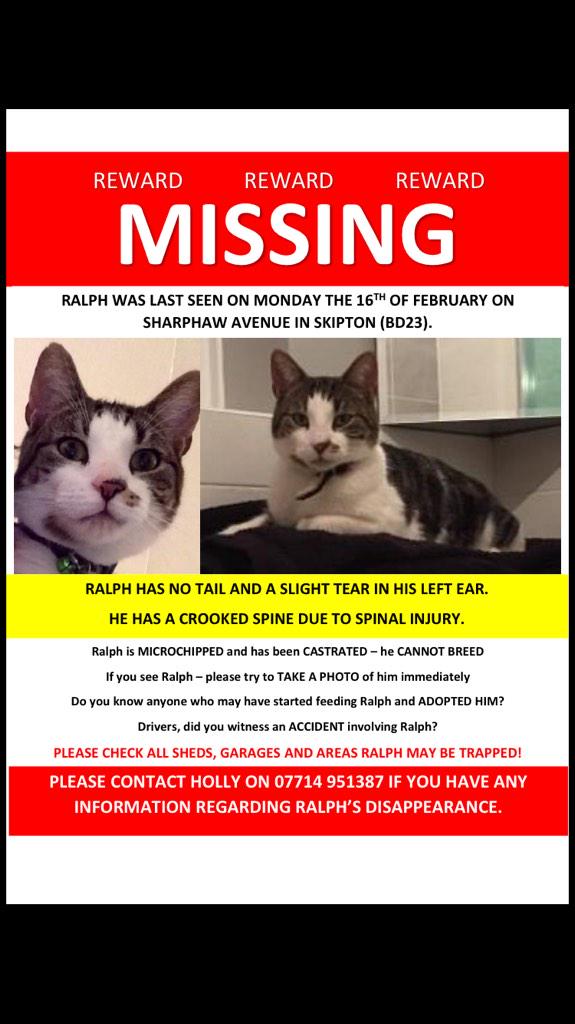 jbiesta's tweet photo. “@hwalker0709: #MISSING #CAT #SKIPTON #LOST Ralph is missing from Sharphaw Ave Skipton. Pls rt @NYorksPolice http://t.co/aZ1MxJPc2A”