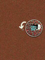P12020704's tweet photo. @amet9984 http://t.co/Gkg4Q2zA7K