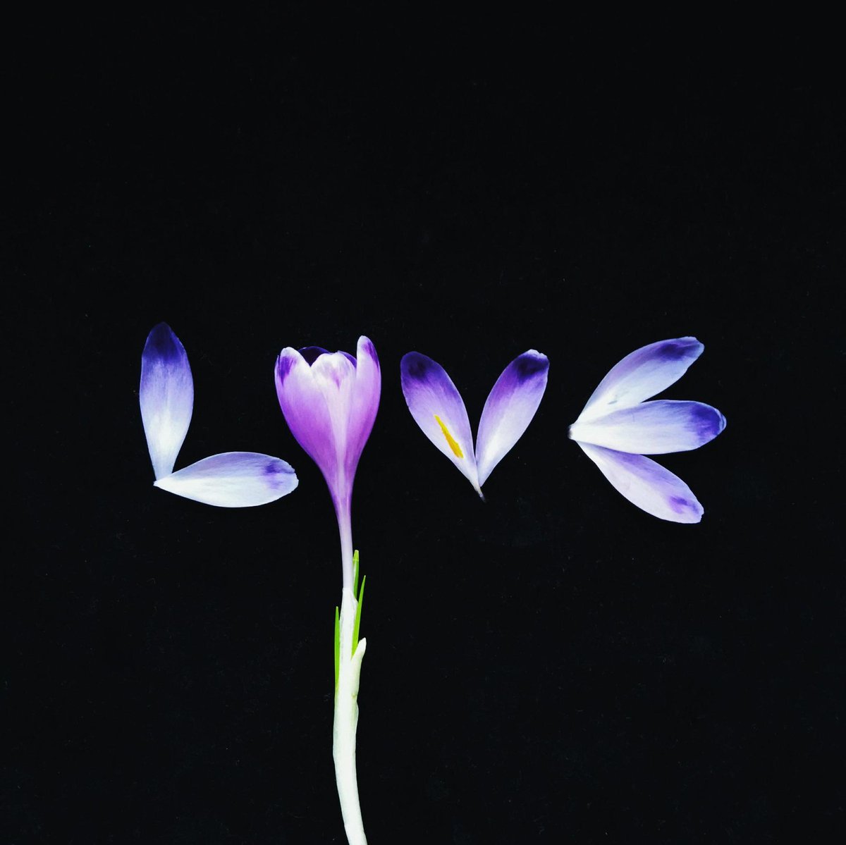 Clashot's tweet photo. all you need is...
Pic by nata.vata for #loveforclashot offer
Check out more featured images 
https://t.co/6ValtIf4On http://t.co/JUQjm2T7Jt
