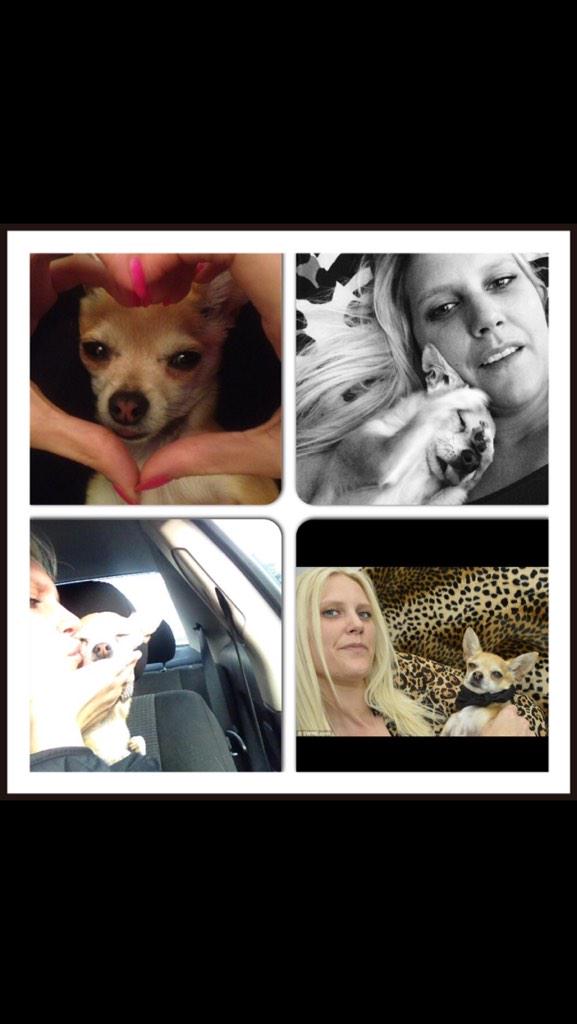 rocky_noble's tweet photo. @NationalDays #LoveYourPetDay #NationalDay WOOFWOOF  I'm very lucky as EVERYDAY is for me 😍 #mumworld x🐾❤️🐾x http://t.co/zvgXmjqyg2