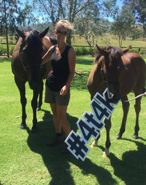 In the spirit of <a href="/FlemingtonVRC/">Victoria Racing Club</a> <a href="/blackcaviar2006/">Black Caviar</a> Day - 📷 #BlackCaviar + #LittleCav + <a href="/4tracks4kids/">4tracks4kids</a> #4t4k ❤️🐴