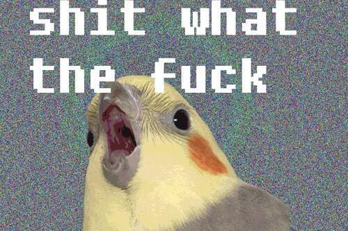 “@AIphaCookie: It’s gone. ”