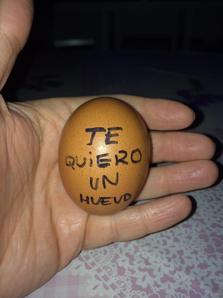 Julitocb's tweet photo. Así da gusto levantarse y mas un viernes!!! #iloveyou @vanesix91 😍😍 http://t.co/QUSY7meLa4