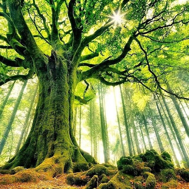 LuxWorldTravels tweet picture