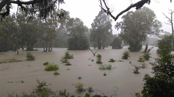 Bulimba Creek, at the corner of Creek Rd and Old Cleveland Rd in Carindale. Rolling updates: bit.ly/1zRNQHw