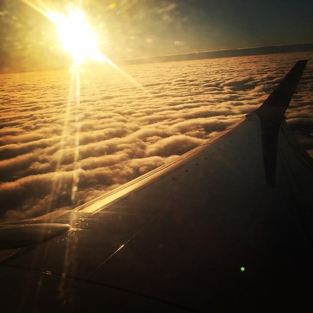 Фото во Внуково on Twitter: "#VKO http://t.co/6lwDERrhkM"