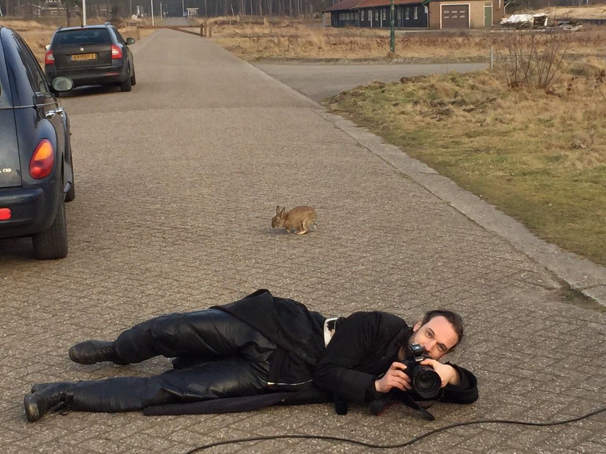 Angels_monument's tweet photo. Is it a rabbit? Yes it is! http://t.co/3wtiRu0c7N