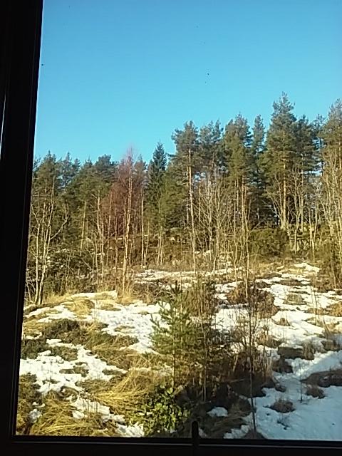 TMaleservice's tweet photo. God helg http://t.co/u8dzQj4fXq