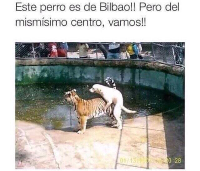 Colmenero tweet picture