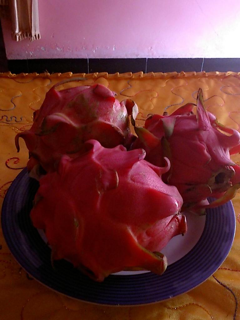 Shsyalia's tweet photo. Mengkomsumsi buah naga,baik untuk kulit wajah dan buat kesehatan....silahkan mencoba. http://t.co/bUP8iKAP7K