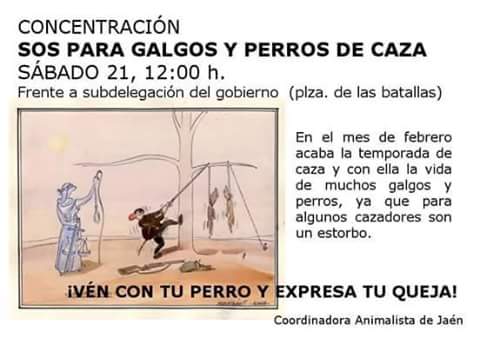 lagarto_dejaen's tweet photo. Concentración SOS para Galgos y perros d caza.En Febrero termina la temporada d caza y con ella la vida de muchos. http://t.co/Qd6SN2DDJY