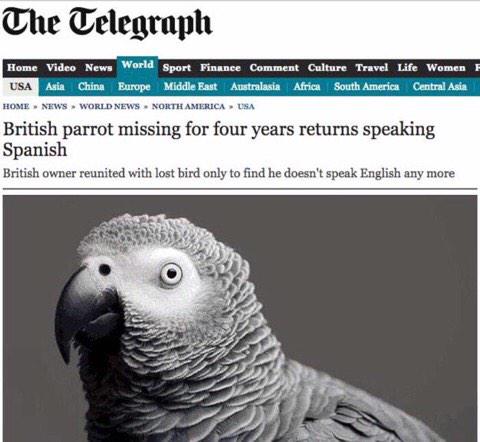 9GAG's tweet photo. Why is this so funny to me omg 😂 http://t.co/nLpsnebf0O