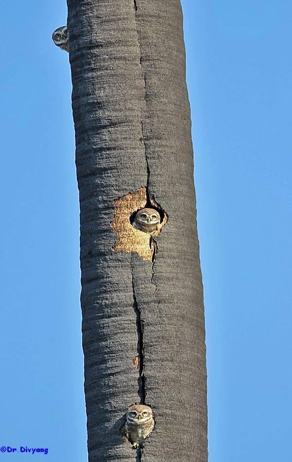 ph2004s's tweet image. 