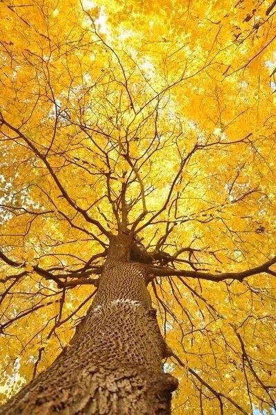 ph2004s's tweet image. 