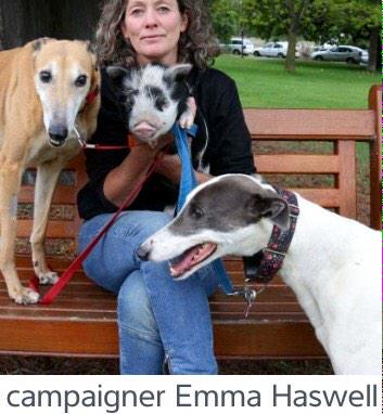 SurepickRatings's tweet image. Campaigner: Emma Haswell showing how baby pigs and racing Dogs get along STAMP OUT LIVE BAITING !   @SurepickRatings