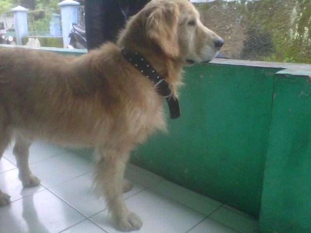 Egoy !!! (@egiminormirror) on Twitter photo 