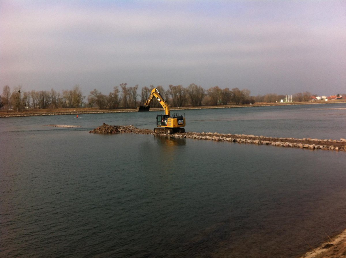 Beobachtung von Wasservögeln bei den Tomateninseln am 22.2. um 10 Uhr. Mehr unter rheinauen-rastatt.de/de/wasserv%C3%…