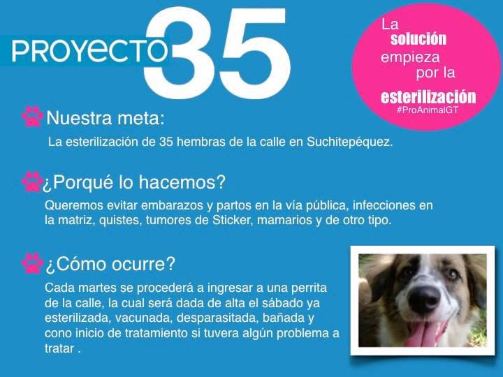 Proanimal_gt's tweet photo. Buenos días @labullo ¿Nos ayudas con un RT? 
Para ayudar, escribir a: proanimalgt@gmail.com #Proyecto35 http://t.co/uZmJBuHXcF